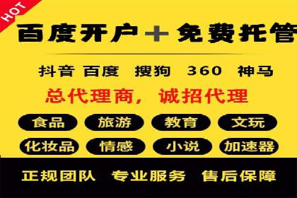 SEM主管实战案例：广告投放策略优化
